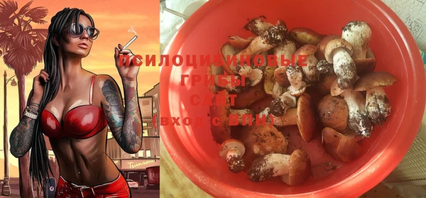 спайс Абинск